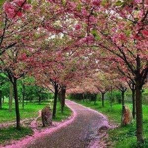 Meet your Posher, Ortiz